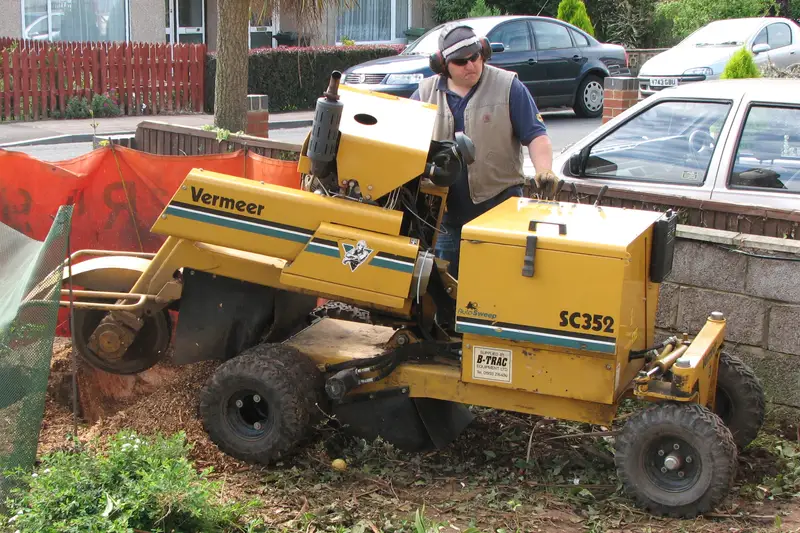 Stump grinder working on a tree stump beside a driveway