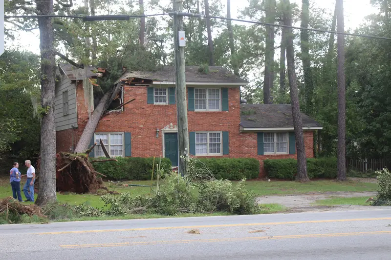 Large tree fallen against a brick house after a hurricane