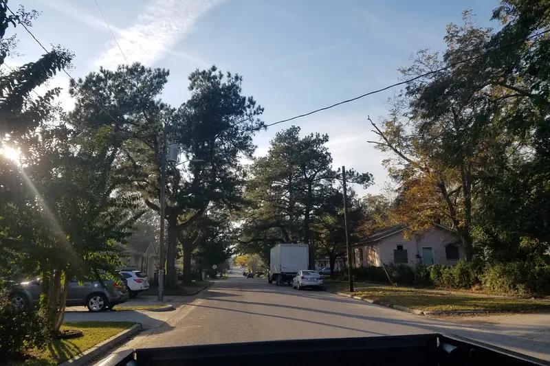 Tree-lined street in the Westbrook-Ardmore historic district, Wilmington